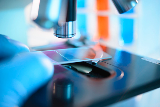 img-Investing In Lab Services And Technologies
