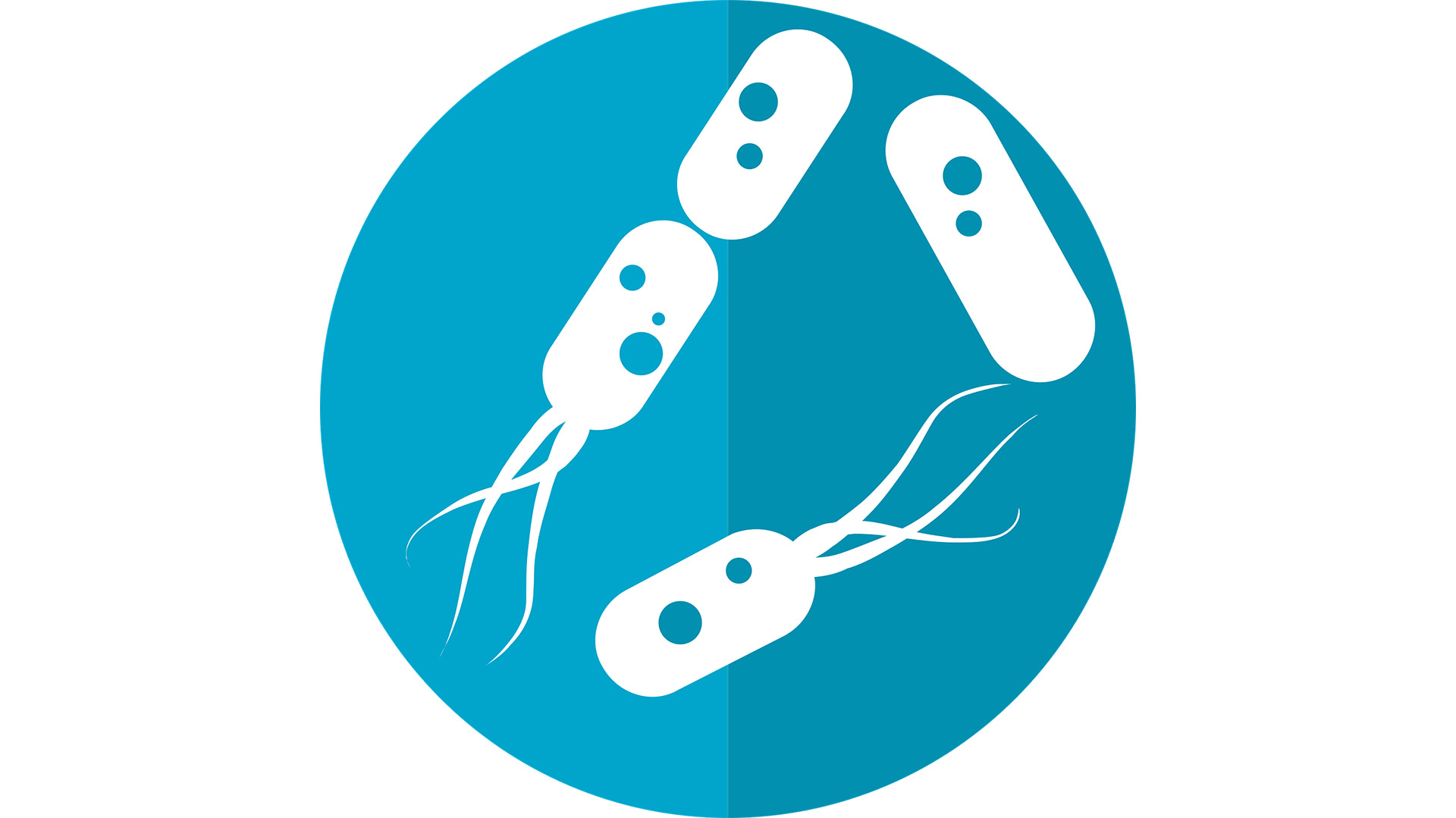 img-Clinical Applications of Microbiome in Cancer