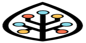 img-BioSymetrics (Lunai) img-BioSymetrics (Lunai)