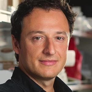 img-Alysson_Muotri img-Alysson_Muotri