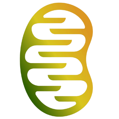 img-Numiera Therapeutics